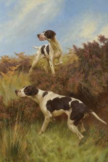 Thomas Blinks - British a Good Point