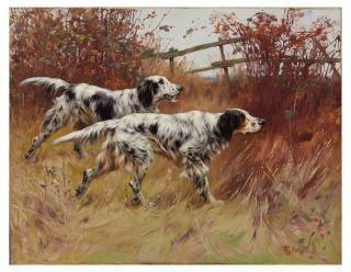 Thomas Blinks - English setters
