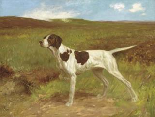 Thomas Blinks - On the point