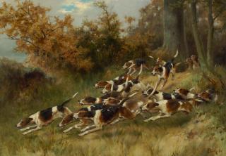 Thomas Blinks - On the scent