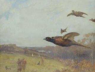 Thomas Blinks - Pheasant shooting