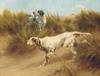 Thomas Blinks - Setters in a sand-dune