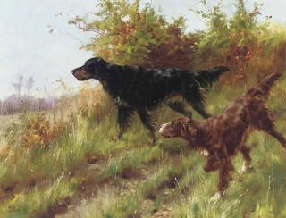 Thomas Blinks - Setters On Point