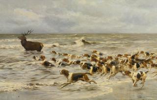 Thomas Blinks - The Chase