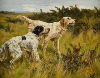 Thomas Blinks - Two English setters