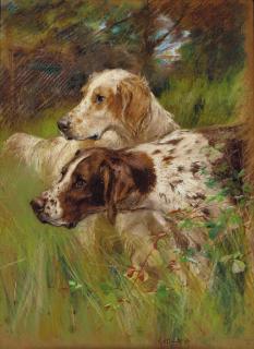 Thomas Blinks - Two Pointers In Long Grass