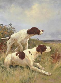 Thomas Blinks - Two Pointers on the Scent