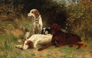 Thomas Blinks - Waiting For The Guns