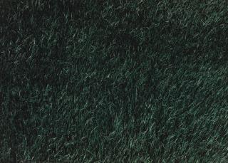 Thomas Demand - Rasen (Lawn)