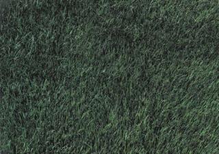 Thomas Demand - Rasen (Lawn)