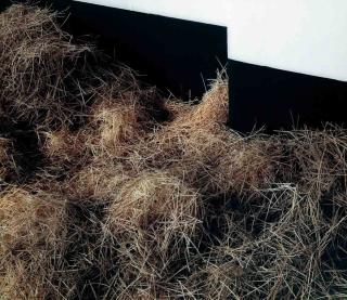 Thomas Demand - Stall/Stable