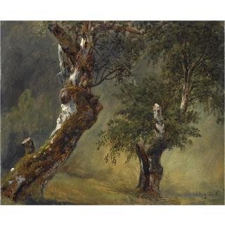 Thomas Fearnley - Norwegian Studie Av Trær (Study Of Trees)