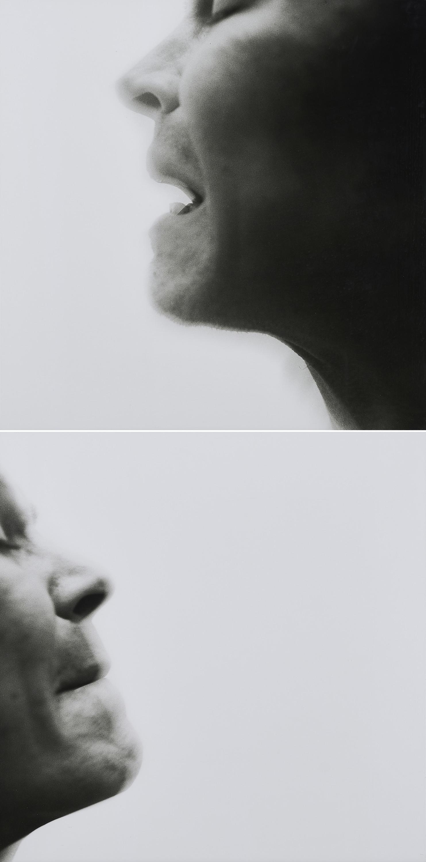 Thomas Florschuetz - Ohne Titel (Diptychon).