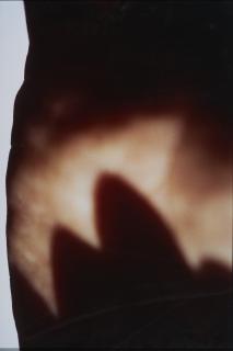 Thomas Florschuetz - Ohne Titel (Edition Artery).