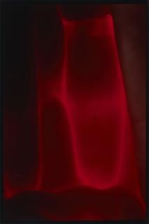 Thomas Florschuetz - Ohne Titel (Plexus).