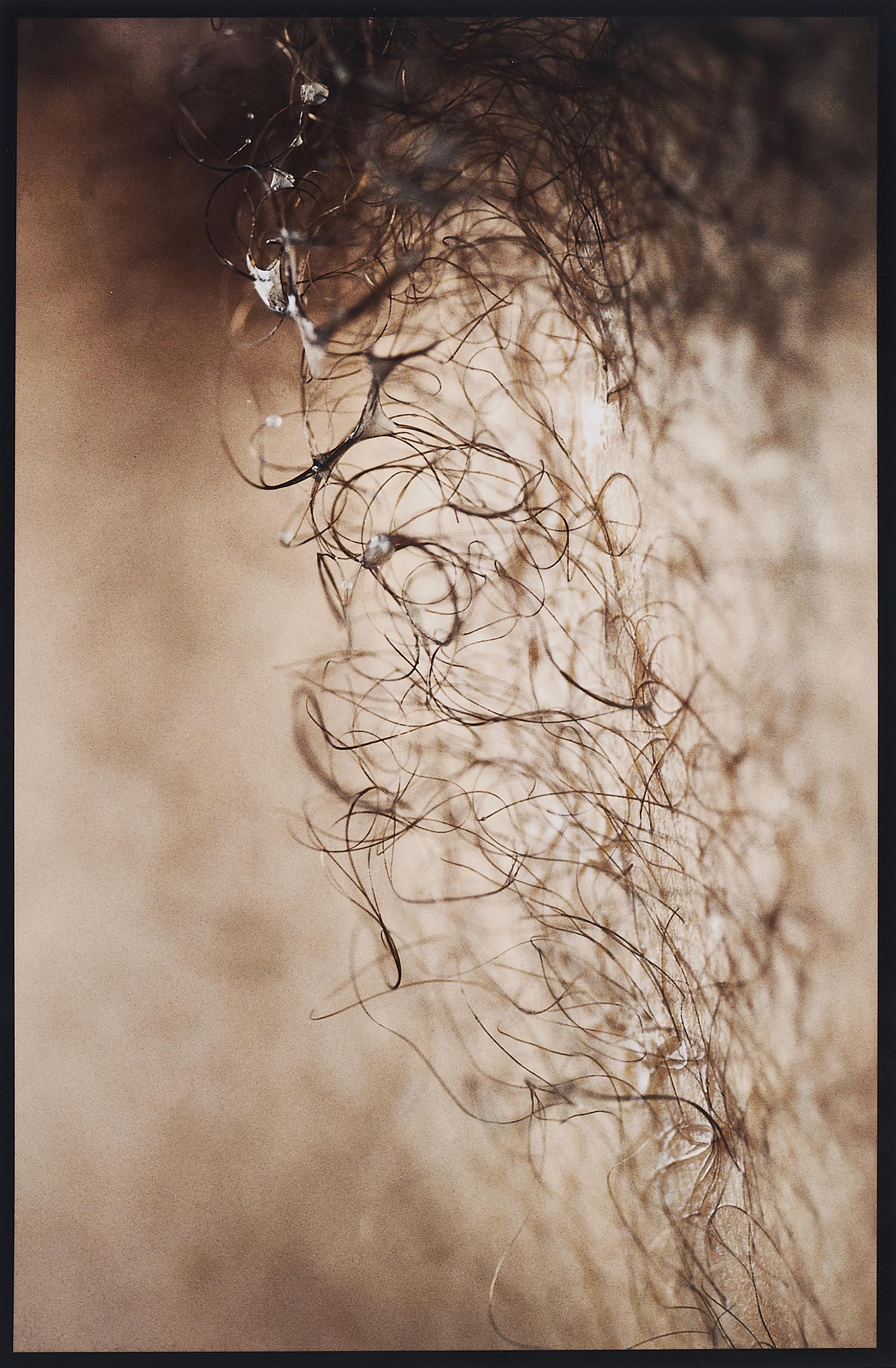 Thomas Florschuetz - Ohne Titel (Suburbia).