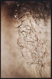 Thomas Florschuetz - Ohne Titel (Suburbia).