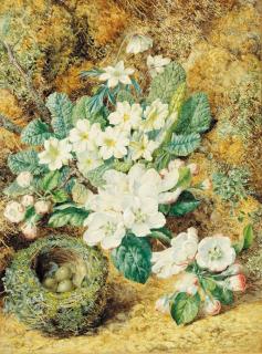 Thomas Frederick Collier - Still-Life Of A Bird\'S Nest With Apple Blossom, Primulas And Anemonies