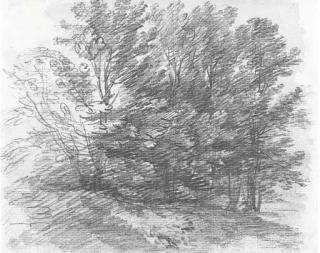 Thomas Gainsborough, R.A. - Woodland Scene