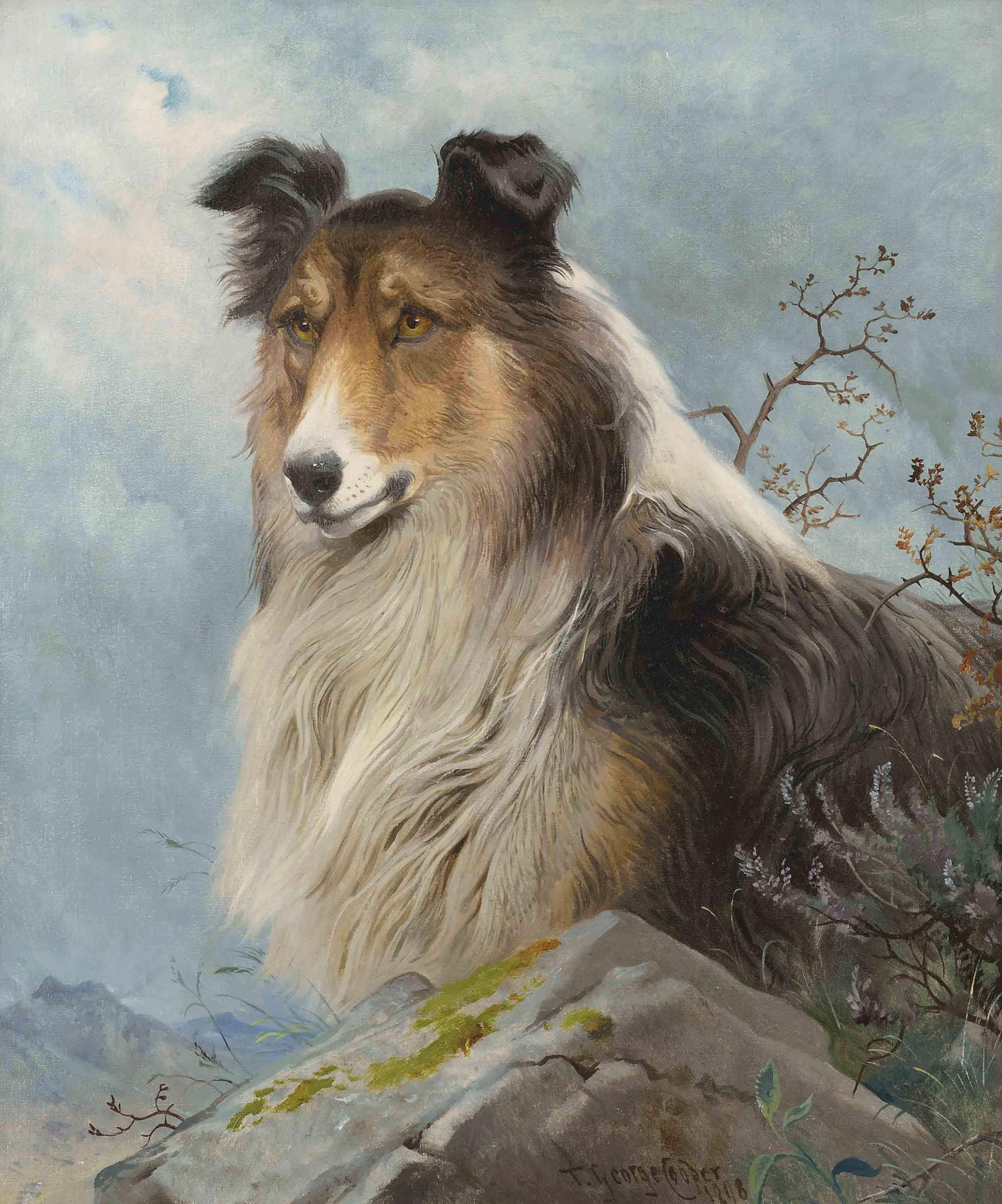 Thomas George Cooper - The shepherd\'s friend