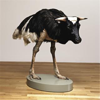 Thomas Grünfeld - Misfit (Cow)
