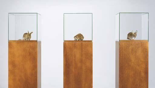 Thomas Grunfeld - Sans Titre