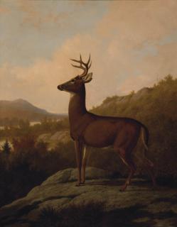 Thomas Hewes Hinckley - Deer in Landscape