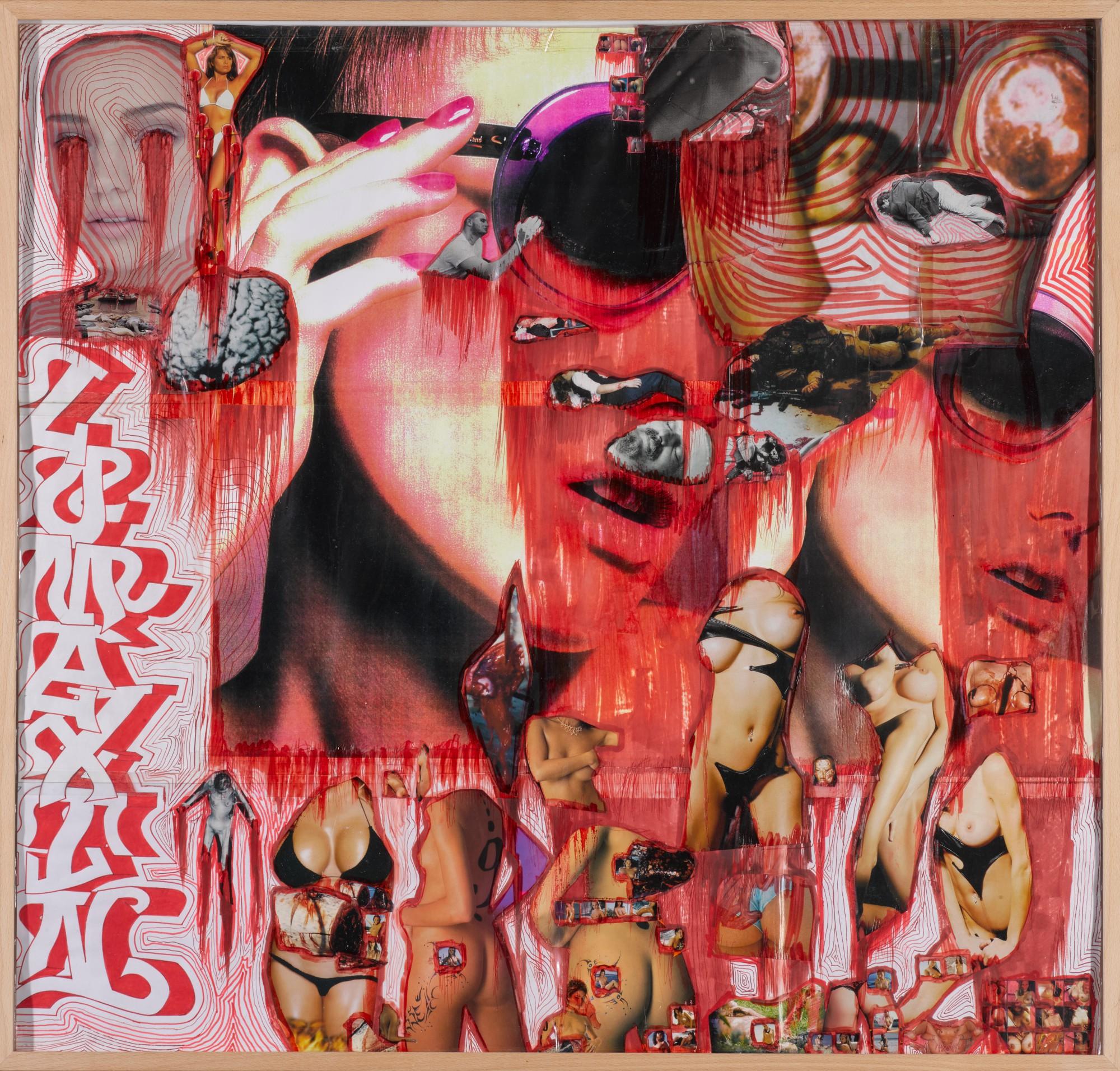 Thomas Hirschhorn - Lomexin (La Série Des Antifongiques)