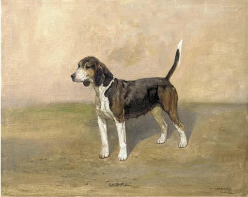 Thomas Ivester Lloyd - A beagle