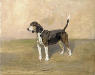 Thomas Ivester Lloyd - A beagle
