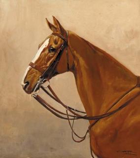 Thomas Ivester-Lloyd - Blazer, a light bay hunter