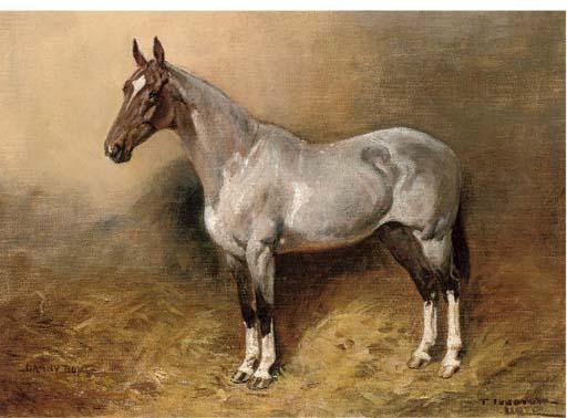 Thomas Ivester Lloyd - Danny Boy