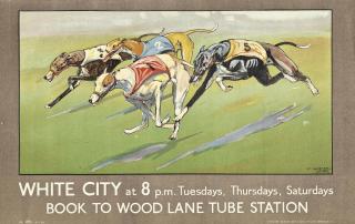 Thomas Ivester Lloyd - White City