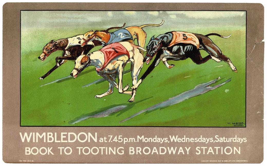 Thomas Ivester Lloyd - Wimbledon