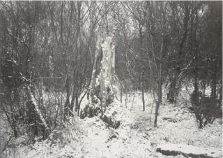 Thomas Joshua Cooper - A Premonitional Work - Winter Into Spring, Glasgow, Scotland 1987