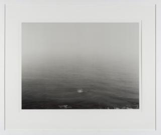 Thomas Joshua Cooper - Looking Towards the Old World the Atlantic Ocean. West Quoddy Head, Maine USA