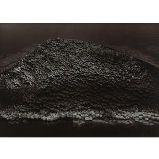 Thomas Joshua Cooper - Selected Landscapes