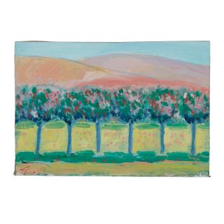 Thomas Kenneth Enman - Arch Beach Heights, Laguna Beach, Point Lobos, California and Flowering Trees (a group of three) 19 1/2 x 24in; 12 x 18in; 7 x 10in, respectively framed 21 x 25in; framed 14 x 20in; unframed, respectively