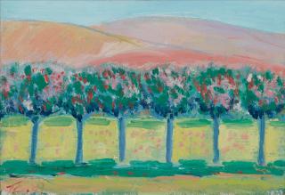 Thomas Kenneth Enman - Arch Beach Heights, Laguna Beach; Point Lobos, California; Flowering Trees (a group of three)