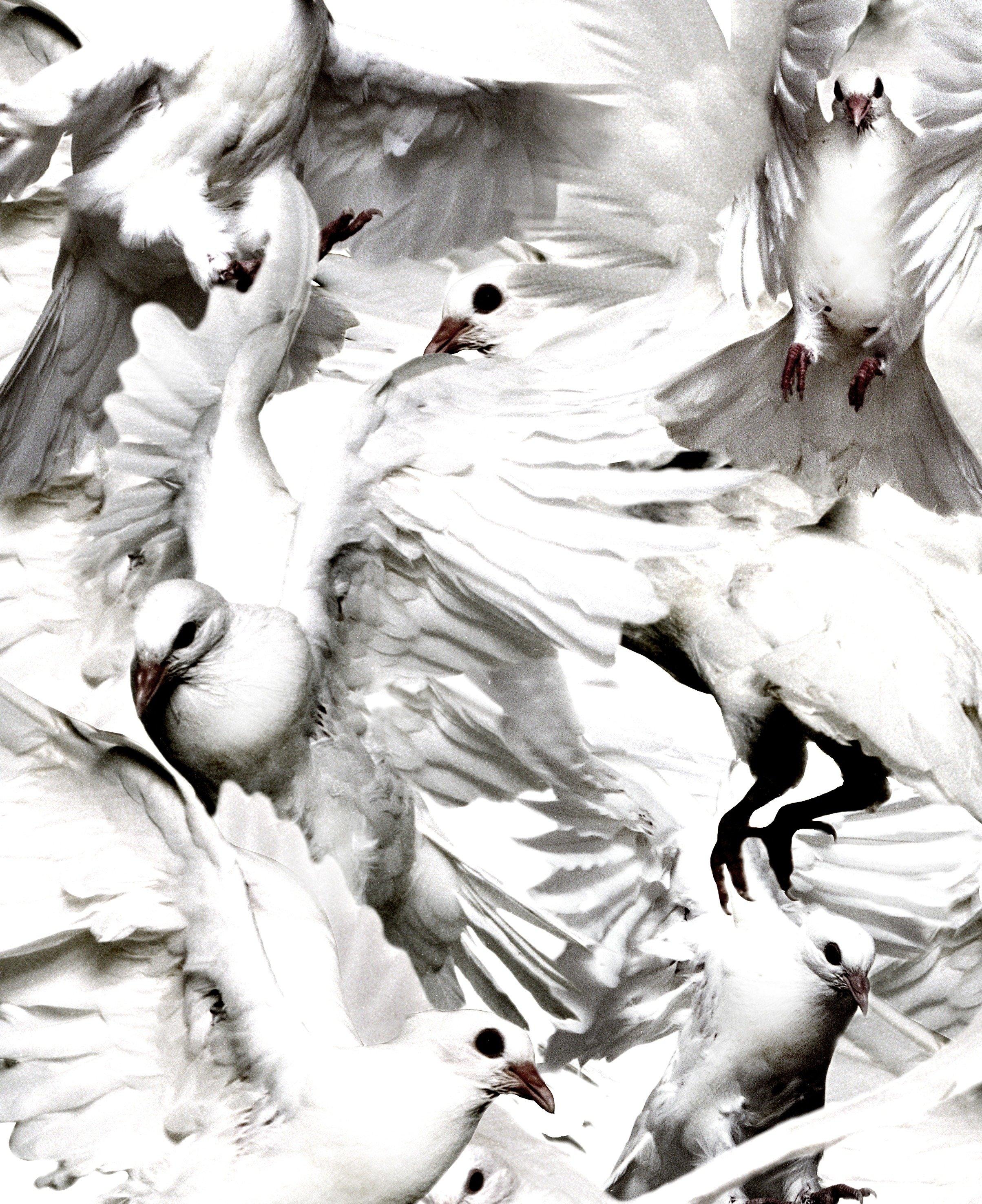 Thomas Klementsson - \