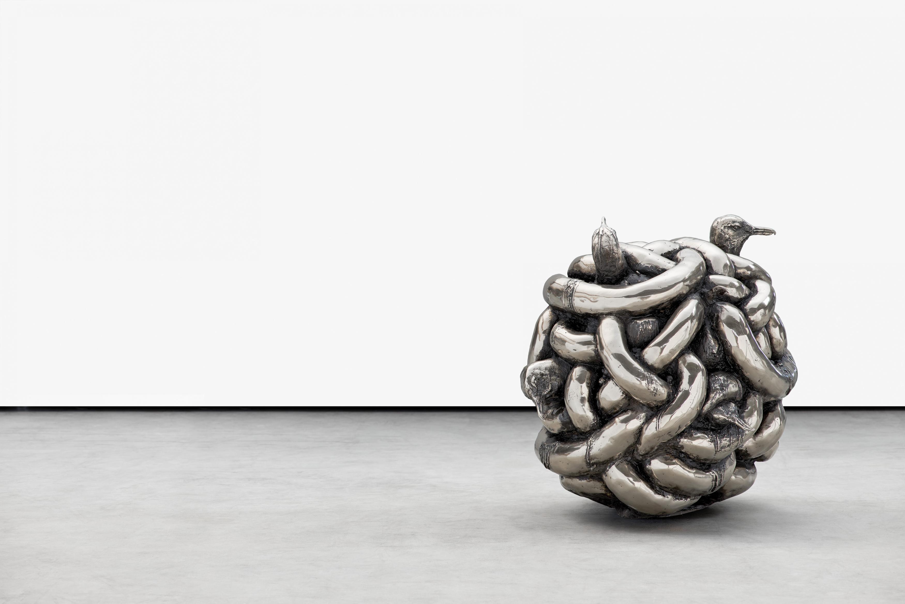 Thomas Lerooy - The Pellet