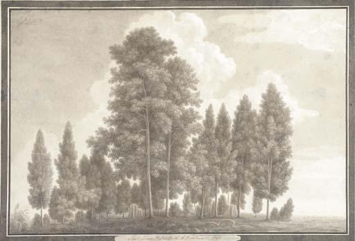 Thomas Longcroft - Sal Trees in the north of Rohilcund