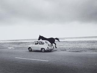 Thomas Lüttge - Trapani, Sizilien