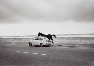 Thomas Lüttge - Trapani, Sizilien