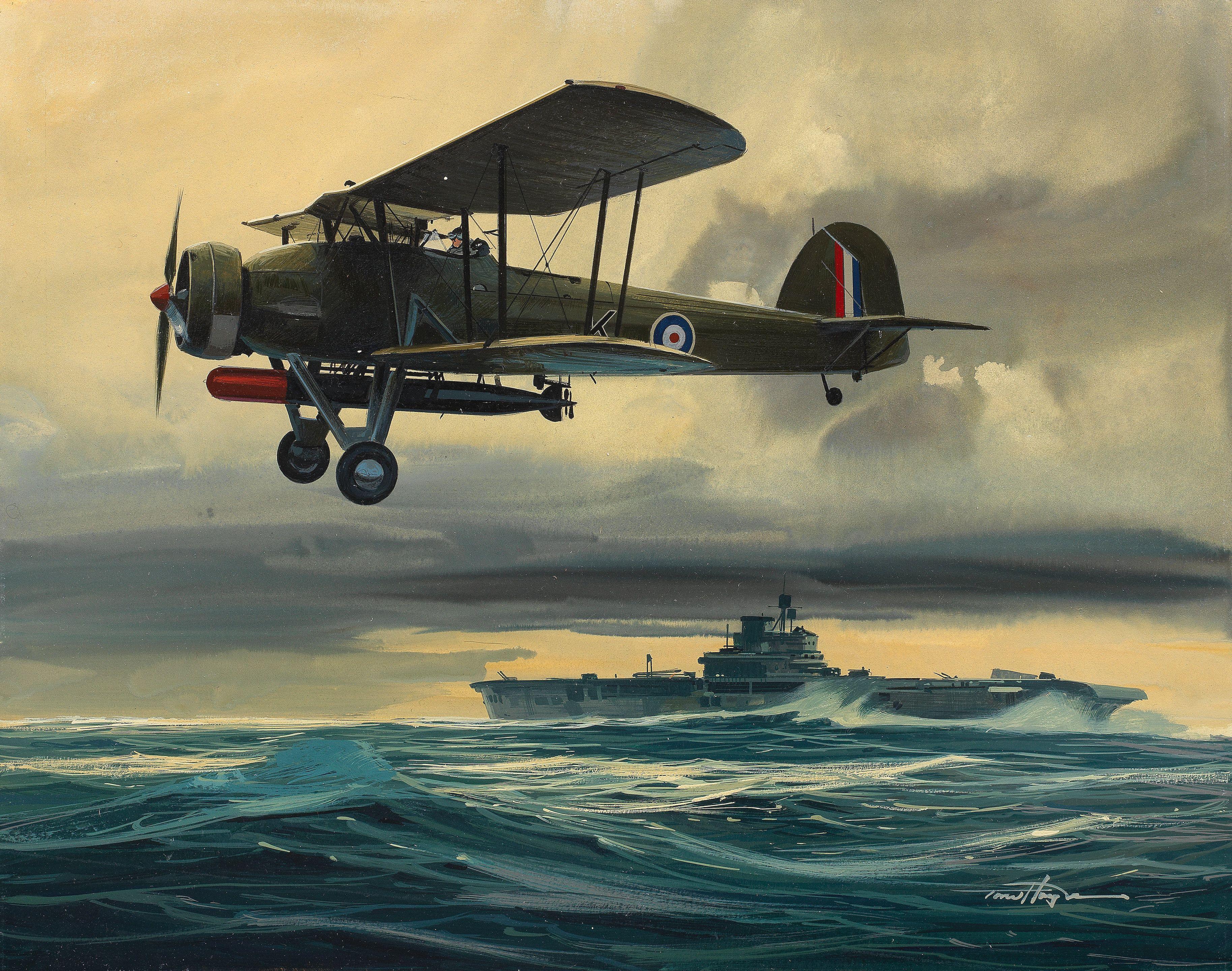 Thomas M. Hoyne - Fairy Swordfish