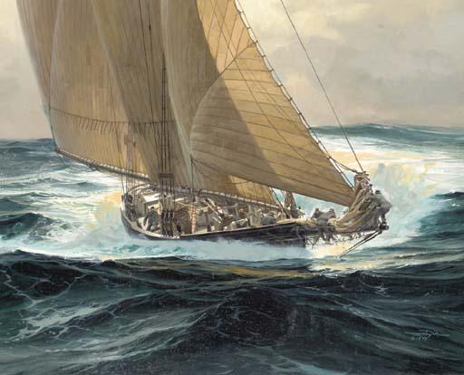 Thomas Maclay Hoyne - The widow maker