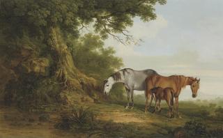 Thomas Roberts - Mares and a foal in a wooded landscape