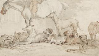 Thomas Rowlandson - A Horse With A Pack Of Hounds Resting