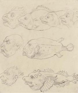 Thomas Rowlandson - Anthrophiseology: A Satire On The Politicians of The Day