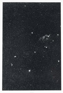 Thomas Ruff - 08H 24M-35°, From: Stars (Schellmann 229)
